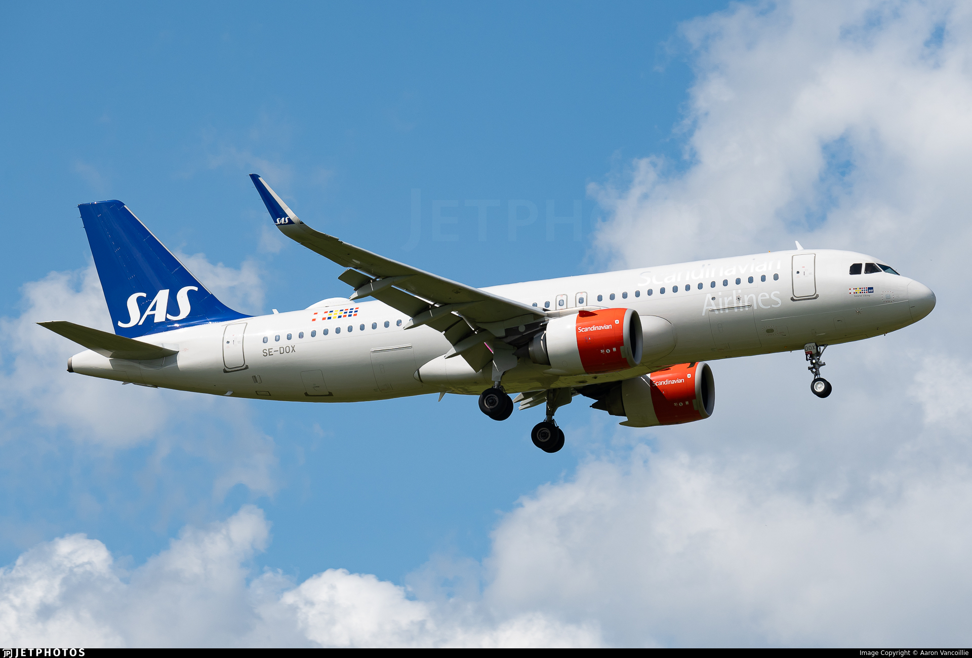 A320neo приземлился на запасной аэродром из-за мыши в бортпитании