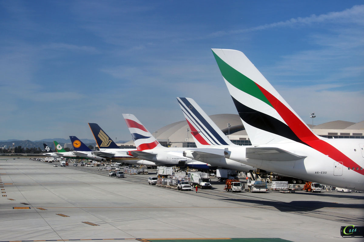 Лизинг самолётов: как авиакомпании арендуют борты