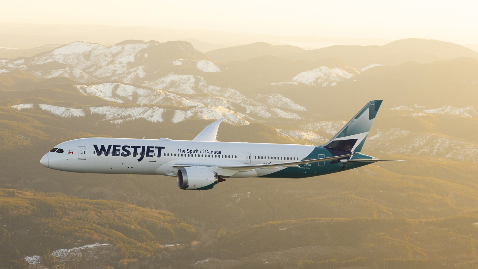 Delta Air Lines, Korean Air и Air France-KLM приобрели доли в WestJet